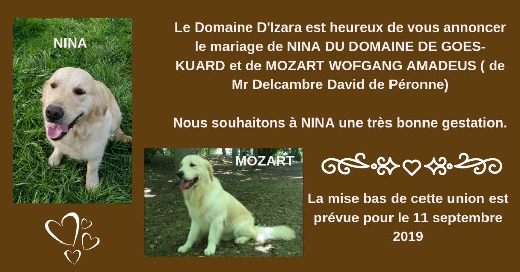 Du Domaine D'Izara - Le mariage de Nina & Mozart