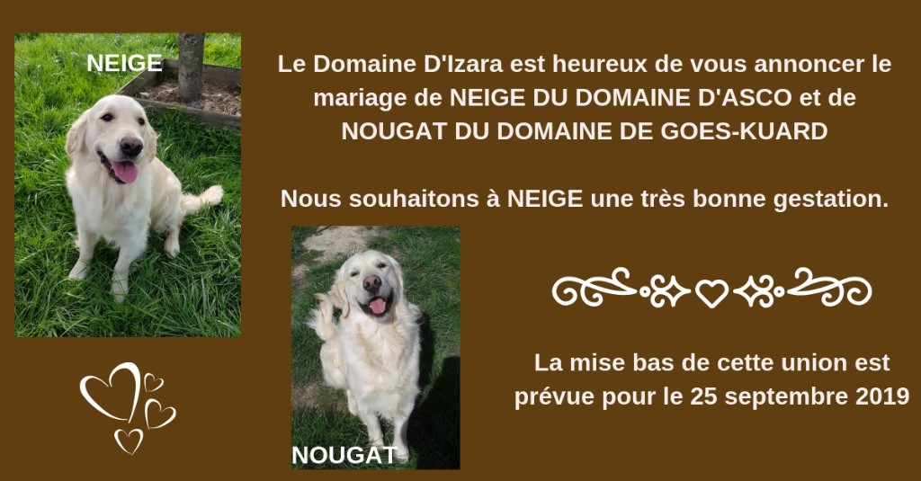 Du Domaine D'Izara - Le mariage de NEIGE & NOUGAT 