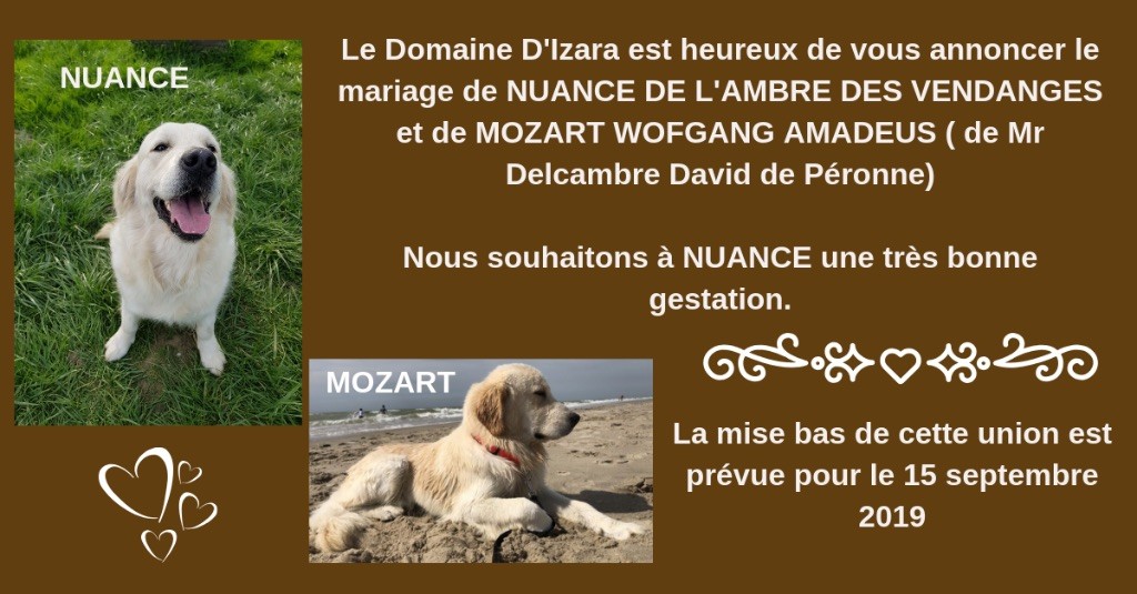 Du Domaine D'Izara - Le mariage de Nuance & Mozart 