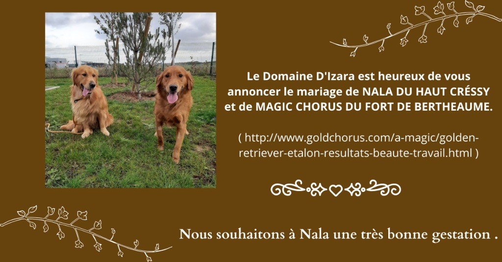 Le mariage de Nala et Magic chorus 